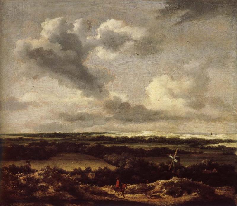 Jacob van Ruisdael Dune landscape with a rabbit hunt china oil painting image